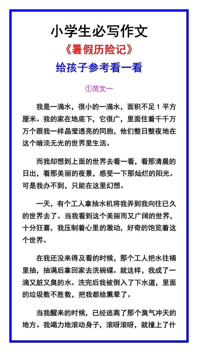 小学生六年级暑假历险记作文素材范文资料语文