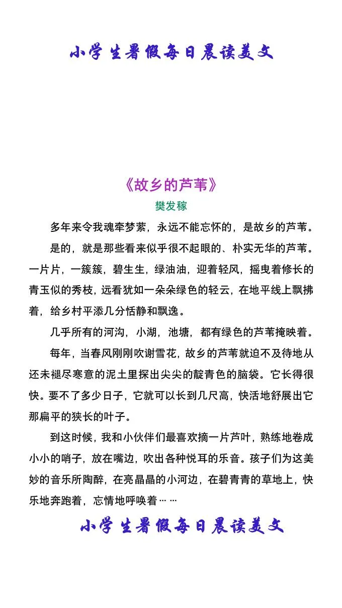 小学生六年级暑假每日晨读美文 小升初语文专项提升