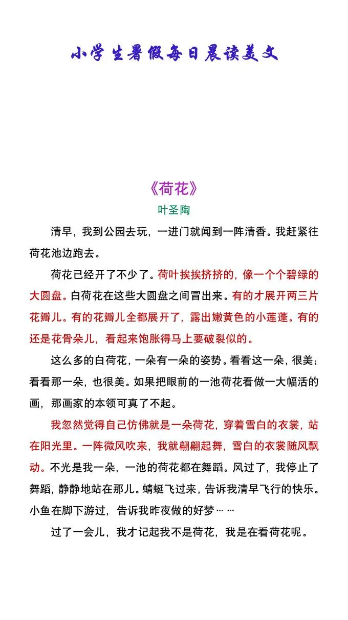 小学六年级暑假每日晨读必选美文 叶圣陶荷花 小升初语文重点推荐