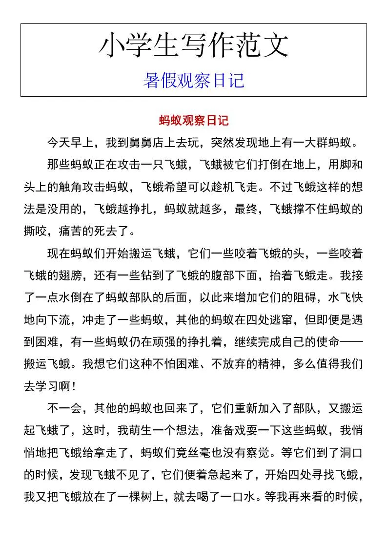 小学六年级暑假观察日记写作范本 小升初语文必备